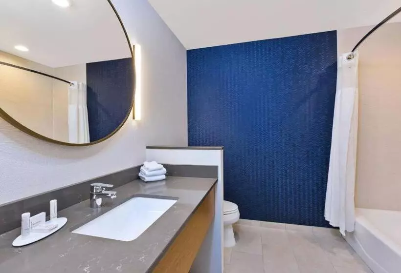 ホテル Fairfield Inn & Suites By Marriott Cincinnati Airport South/florence