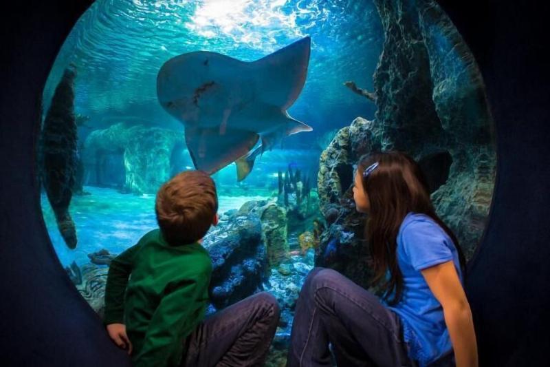 فندق Fairfield Inn & Suites By Marriott Cincinnati Airport South/florence