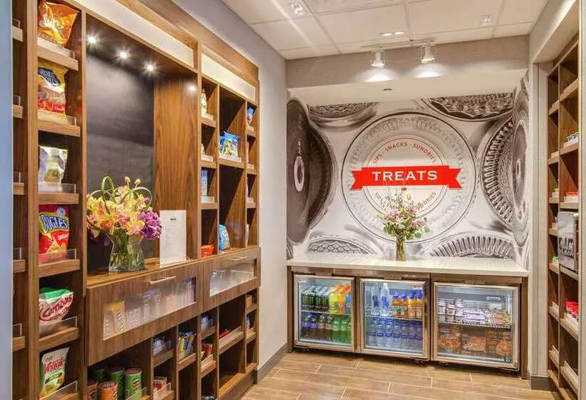 Hotelli Hampton Inn & Suites Nashville North Skyline