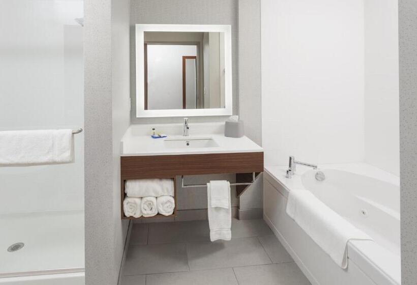 Hotel Holiday Inn Express & Suites   Hudson I 94, An Ihg