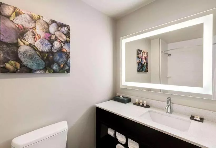 هتل La Quinta Inn & Suites By Wyndham Burlington