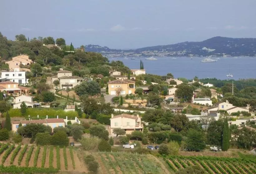 Les Oliviers