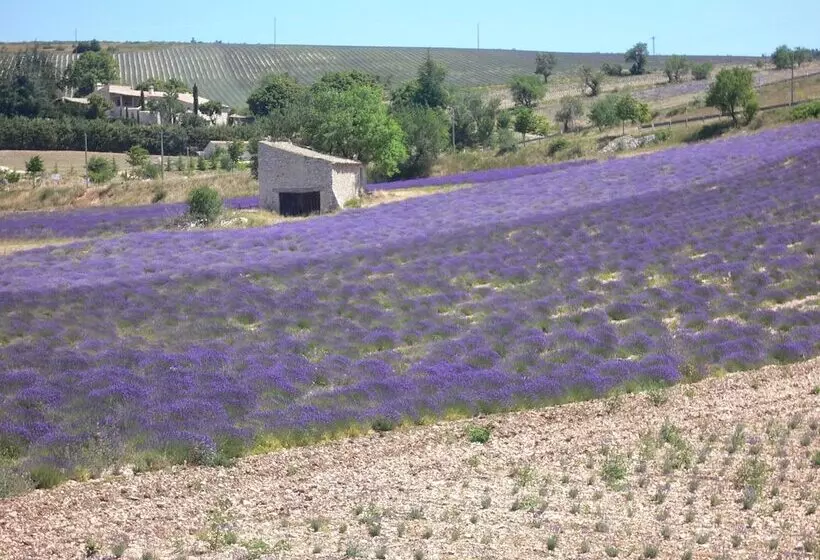 ベッドアンドブレックファースト Domaine La Lauren Avec Piscine Chauffée Et Jacuzzi