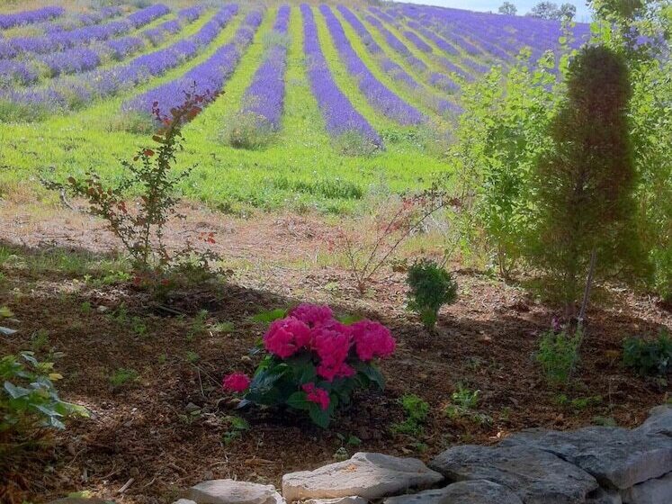 Bed and Breakfast Domaine La Lauren Avec Piscine Chauffée Et Jacuzzi
