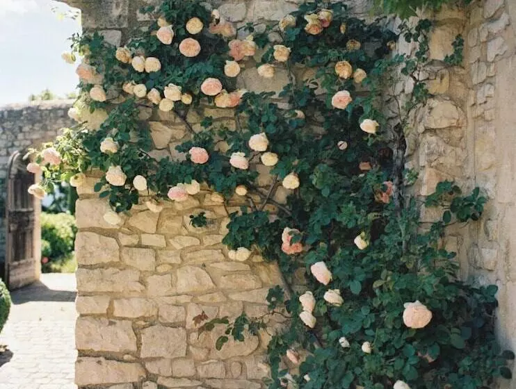 ベッドアンドブレックファースト Domaine La Lauren Avec Piscine Chauffée Et Jacuzzi