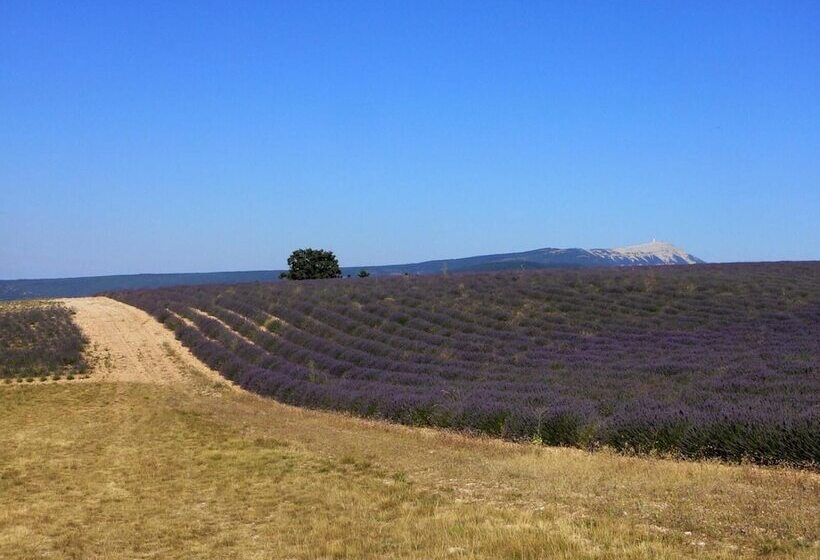 Bed and Breakfast Domaine La Lauren Avec Piscine Chauffée Et Jacuzzi