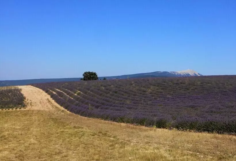 ベッドアンドブレックファースト Domaine La Lauren Avec Piscine Chauffée Et Jacuzzi