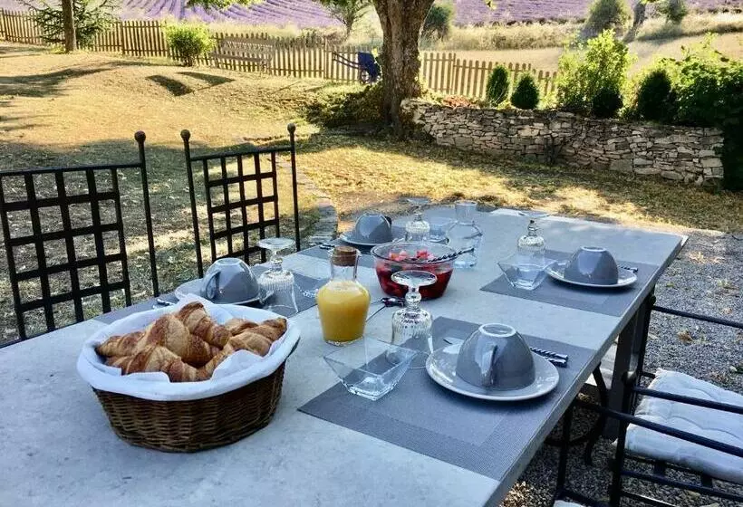 ベッドアンドブレックファースト Domaine La Lauren Avec Piscine Chauffée Et Jacuzzi
