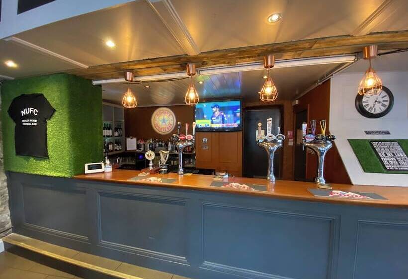 Bed and Breakfast Newcastle House