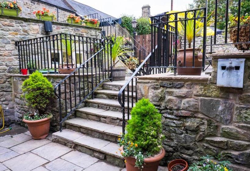 Хостел The Golden Lion