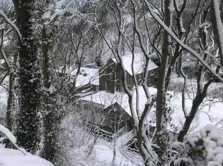 فندق فئة نجمة واحدة The Mill House