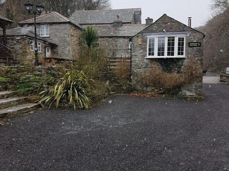 فندق فئة نجمة واحدة The Mill House