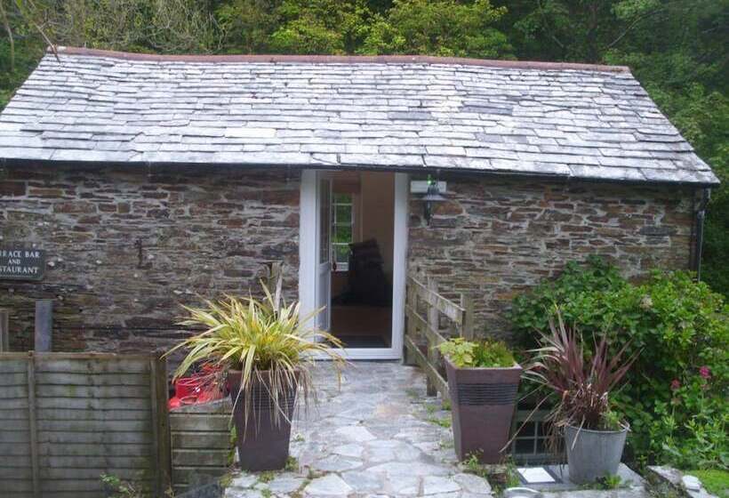 فندق فئة نجمة واحدة The Mill House