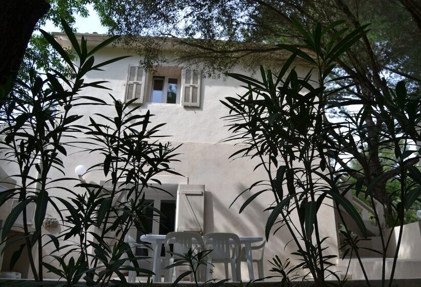 هتل Balanea   Campsite