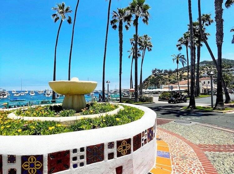 فندق Catalina Courtyard Suites