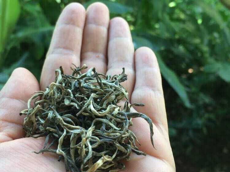 Hotel Wawee Strawberry House