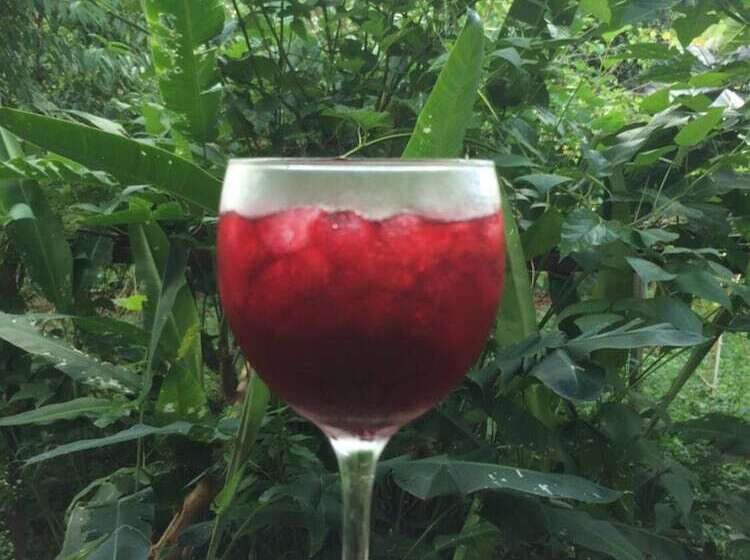 Hotel Wawee Strawberry House