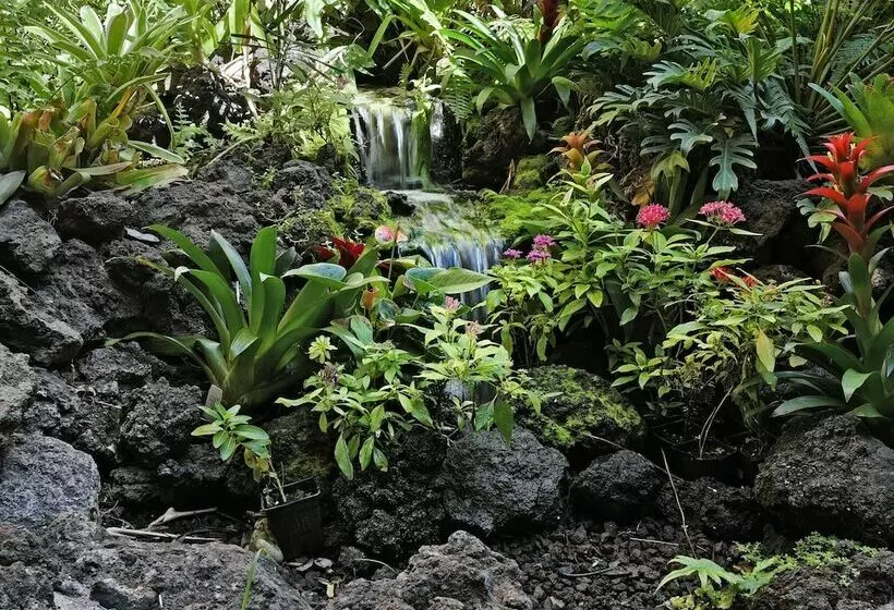 Maui Vista 3202