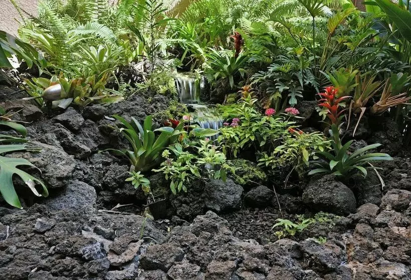 Maui Vista 3202