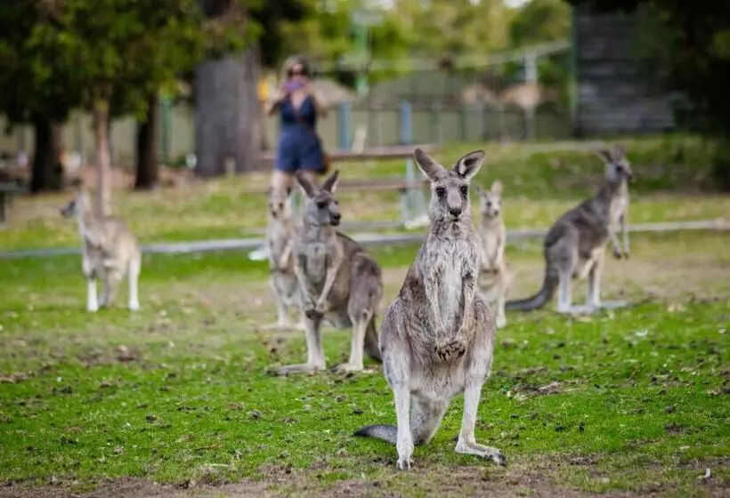 ユースホステル Yha Grampians Eco, Halls Gap