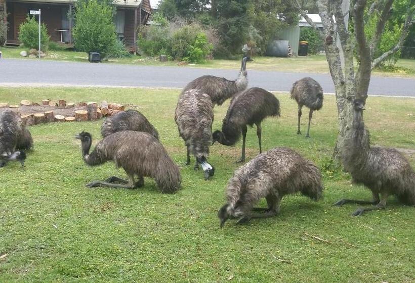 הוסטל Yha Grampians Eco, Halls Gap
