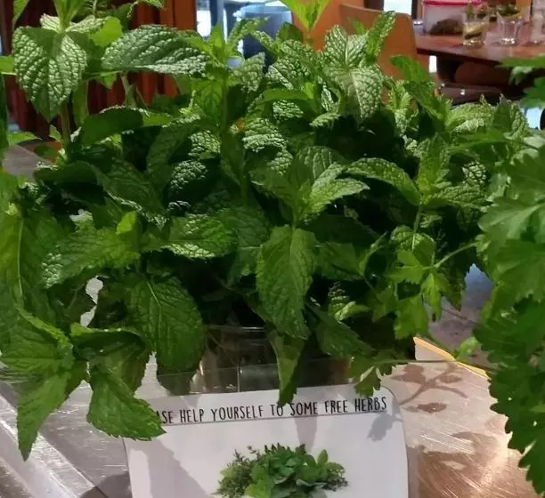 ユースホステル Yha Grampians Eco, Halls Gap