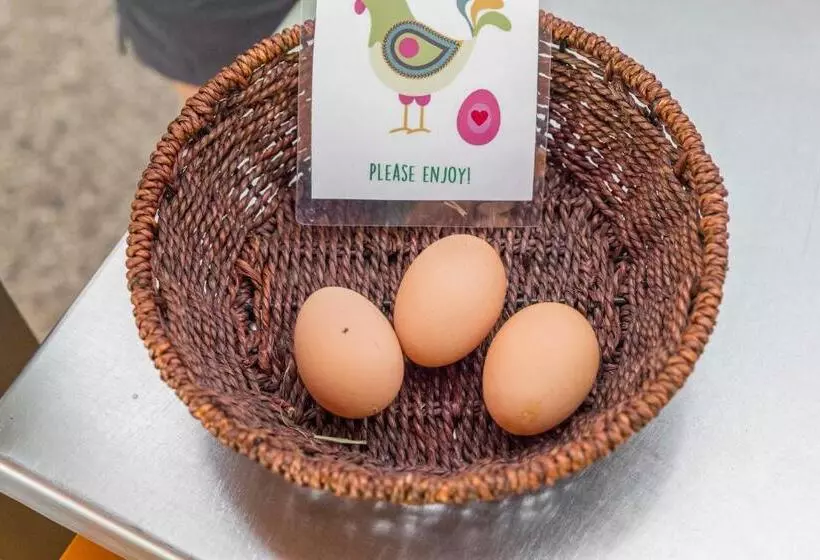 ユースホステル Yha Grampians Eco, Halls Gap