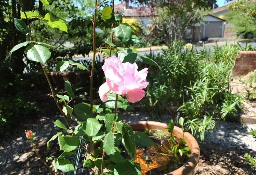 Majatalo Kurrara Historic Guest House