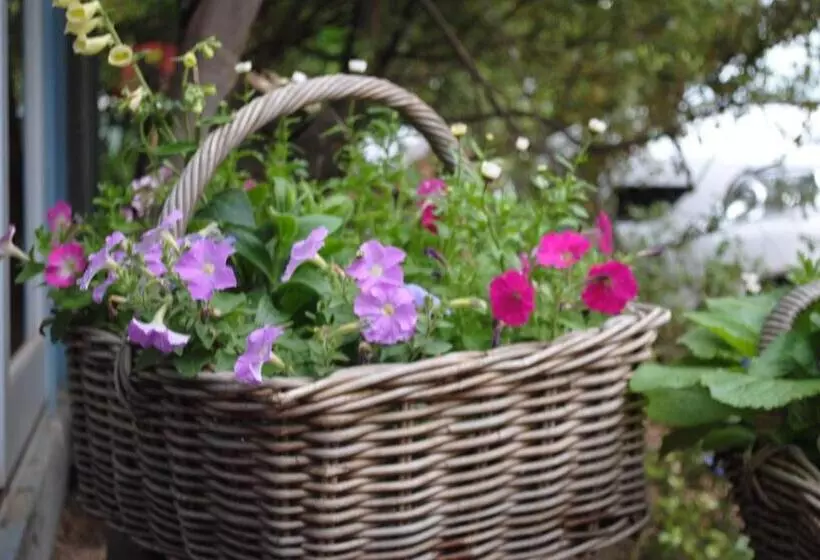 Majatalo Kurrara Historic Guest House