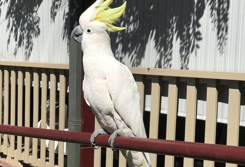 펜션 Kurrara Historic Guest House