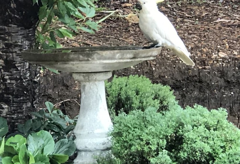 펜션 Kurrara Historic Guest House