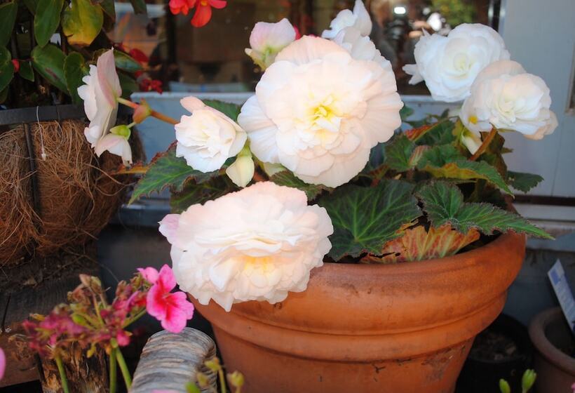 펜션 Kurrara Historic Guest House