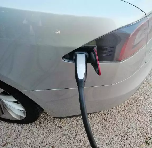 Apartments Jerkunica