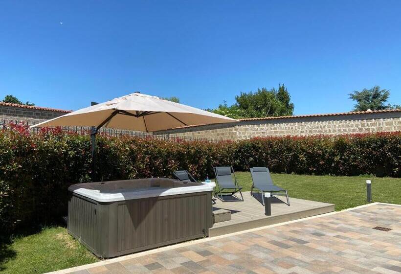 Il Cavaliere Bed And Breakfast