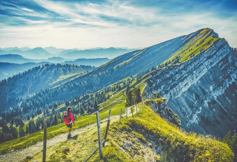 ホテル Alpenkonig