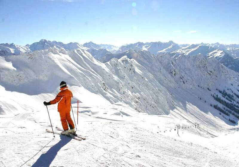 ホテル Alpenkonig