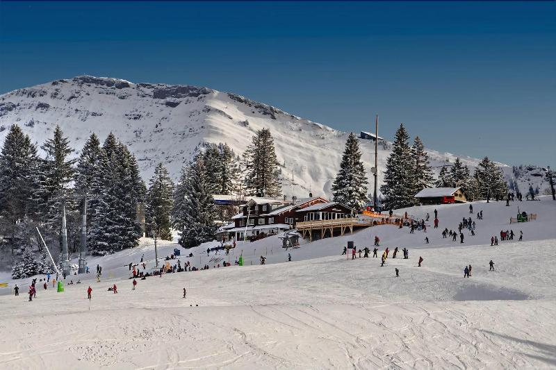 ホテル Alpenkonig