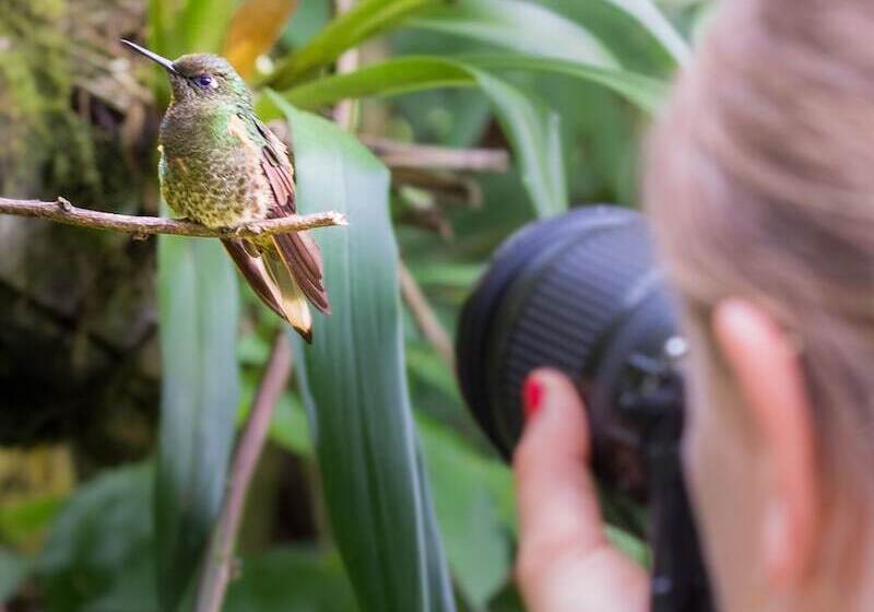 هتل Muchosur Quimbaya