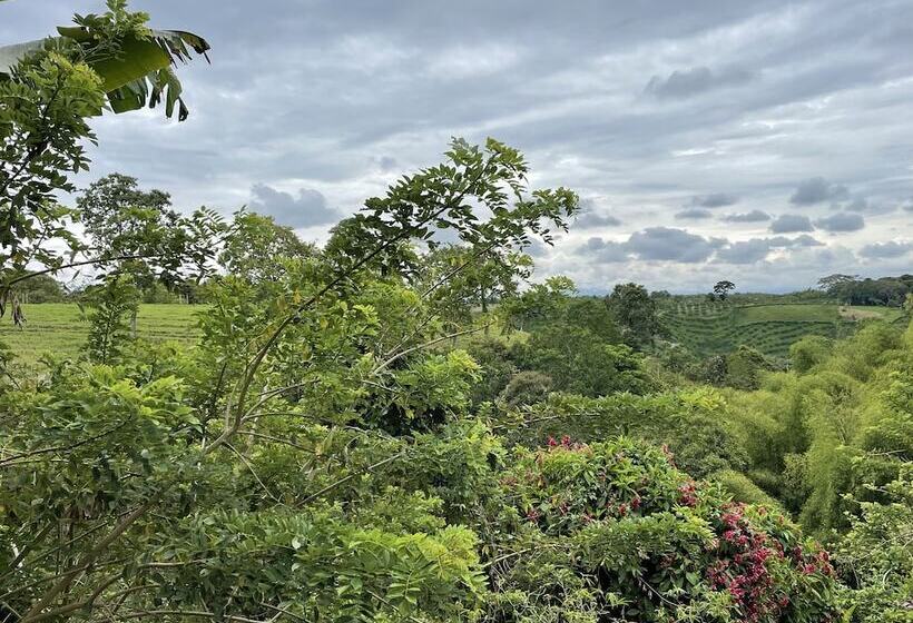 هتل Muchosur Quimbaya