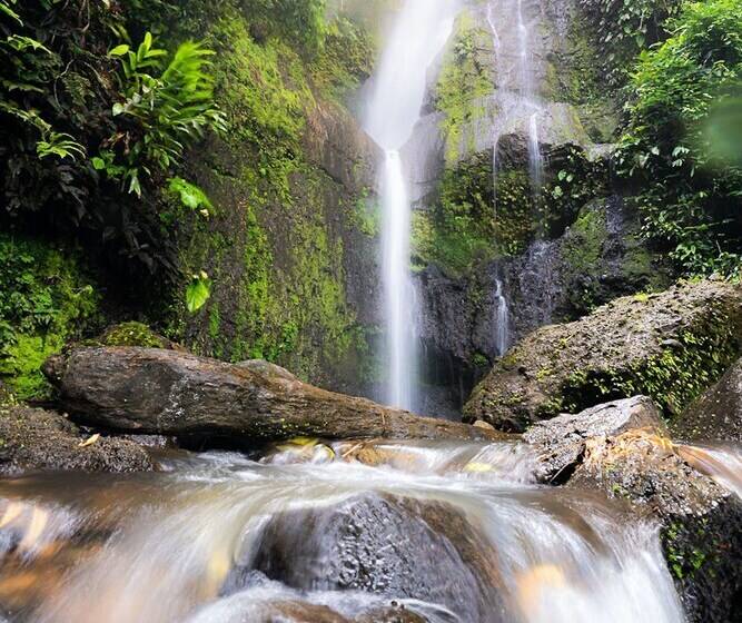 هتل Muchosur Quimbaya