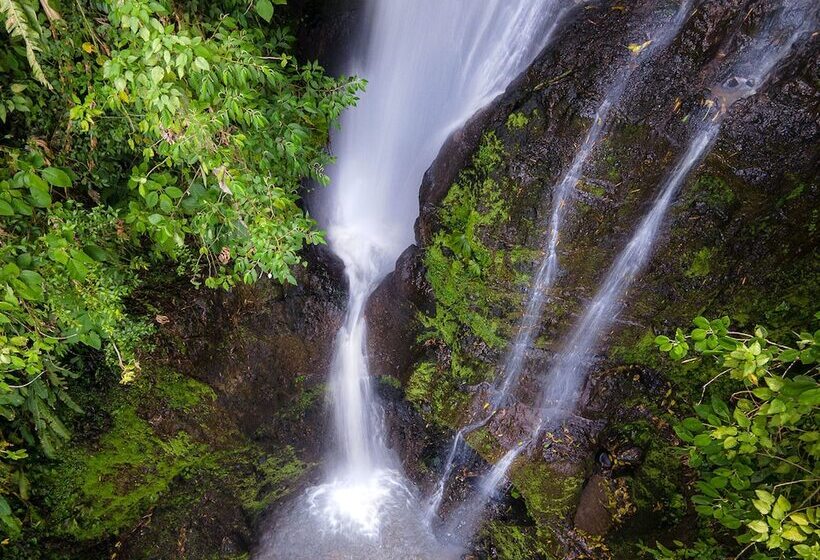 هتل Muchosur Quimbaya