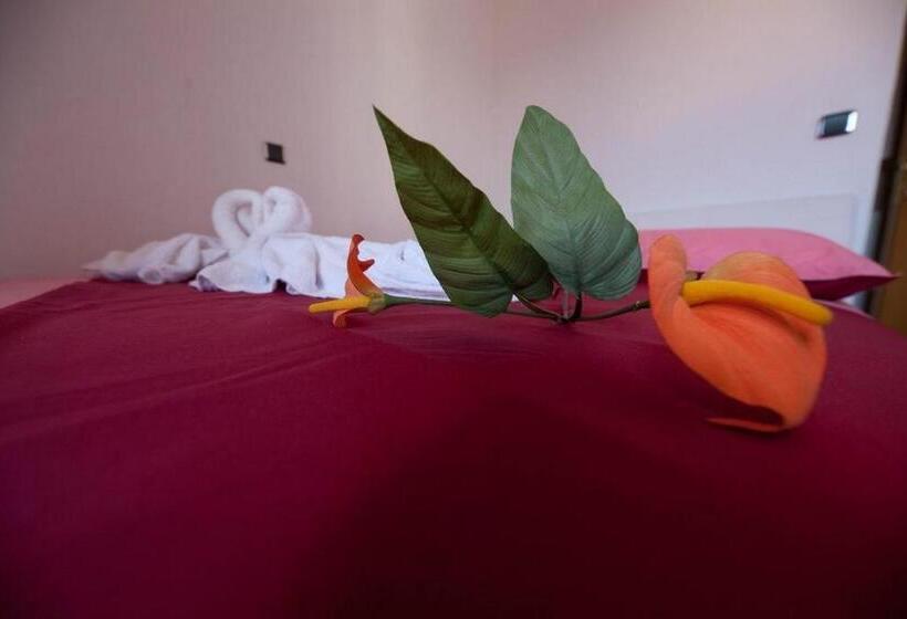 Pensão Aldino Rooms