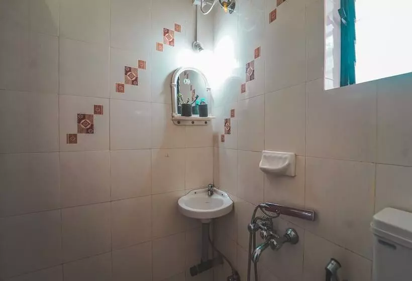 Piggy Hostel Arambol