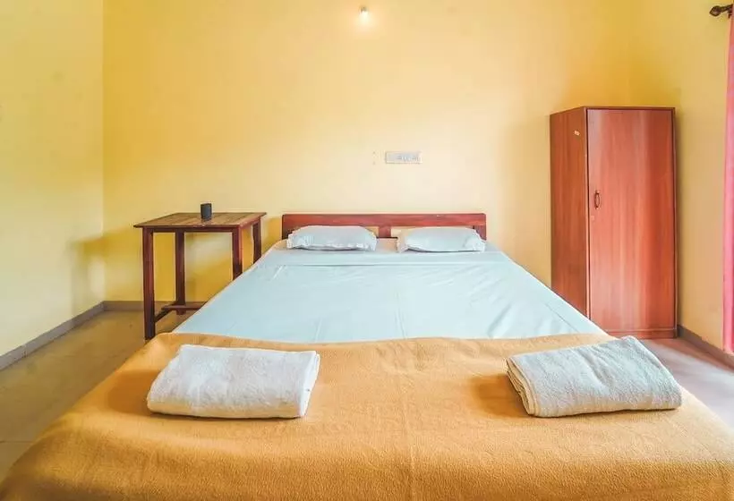 Piggy Hostel Arambol
