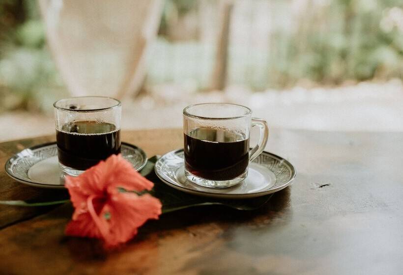 فندق Castillo Tambor Resort & Restaurant