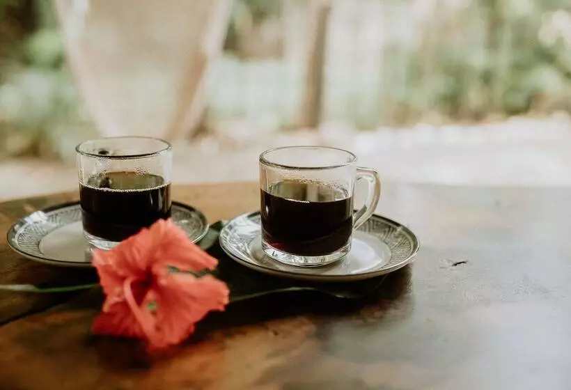 Hotelli Castillo Tambor Resort & Restaurant