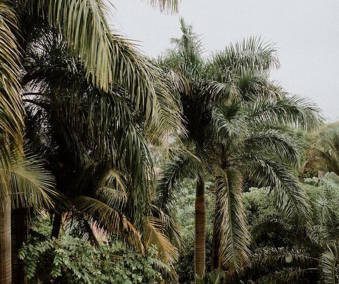 فندق Castillo Tambor Resort & Restaurant