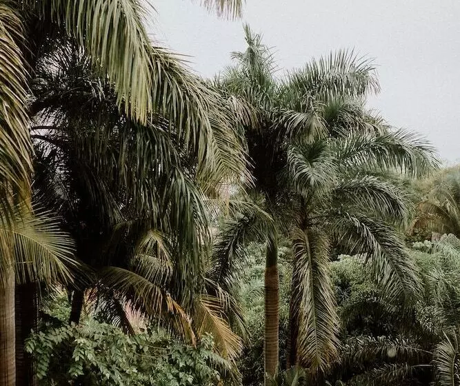 Hotelli Castillo Tambor Resort & Restaurant