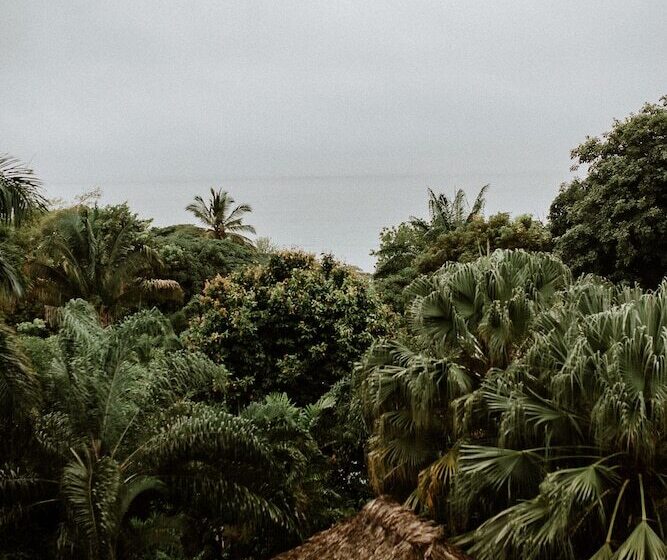 فندق Castillo Tambor Resort & Restaurant