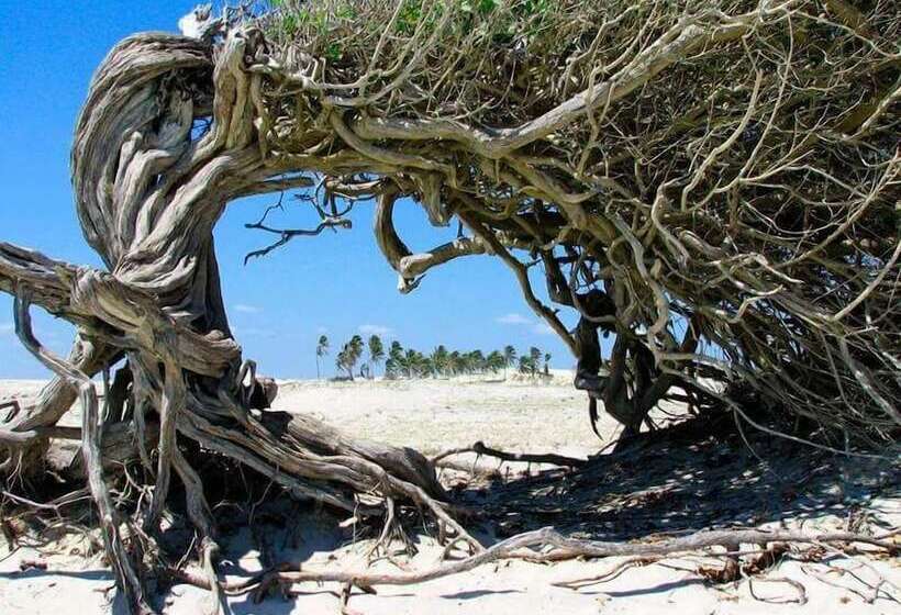 ホテル Jeri Suítes